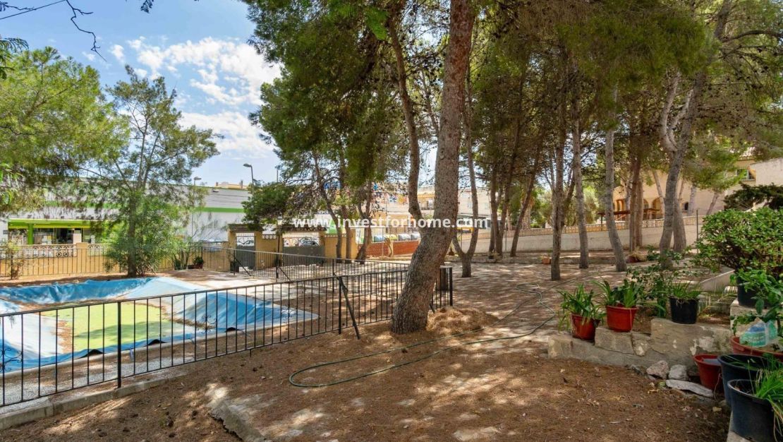 Vente - Villa - Torrevieja - Los Balcones