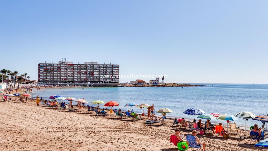 Vente - Villa - Torrevieja - Playa de los Locos