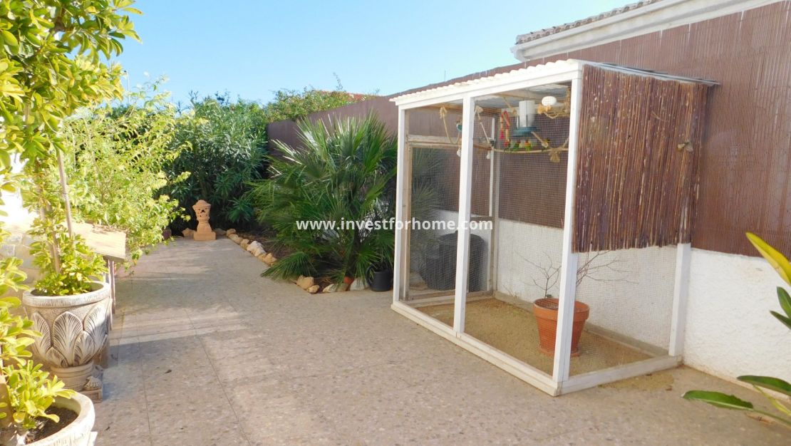 Vente - Villa - Torrevieja - San Luis