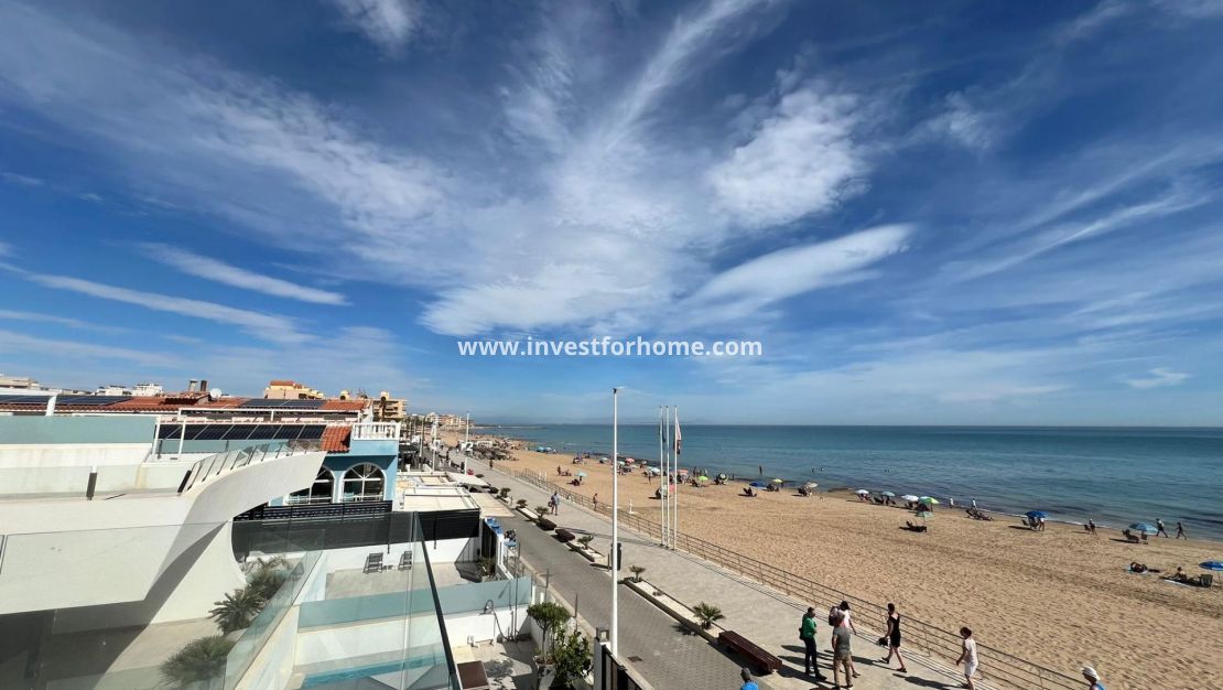 Vente - Villa - Torrevieja - Torrelamata - La Mata