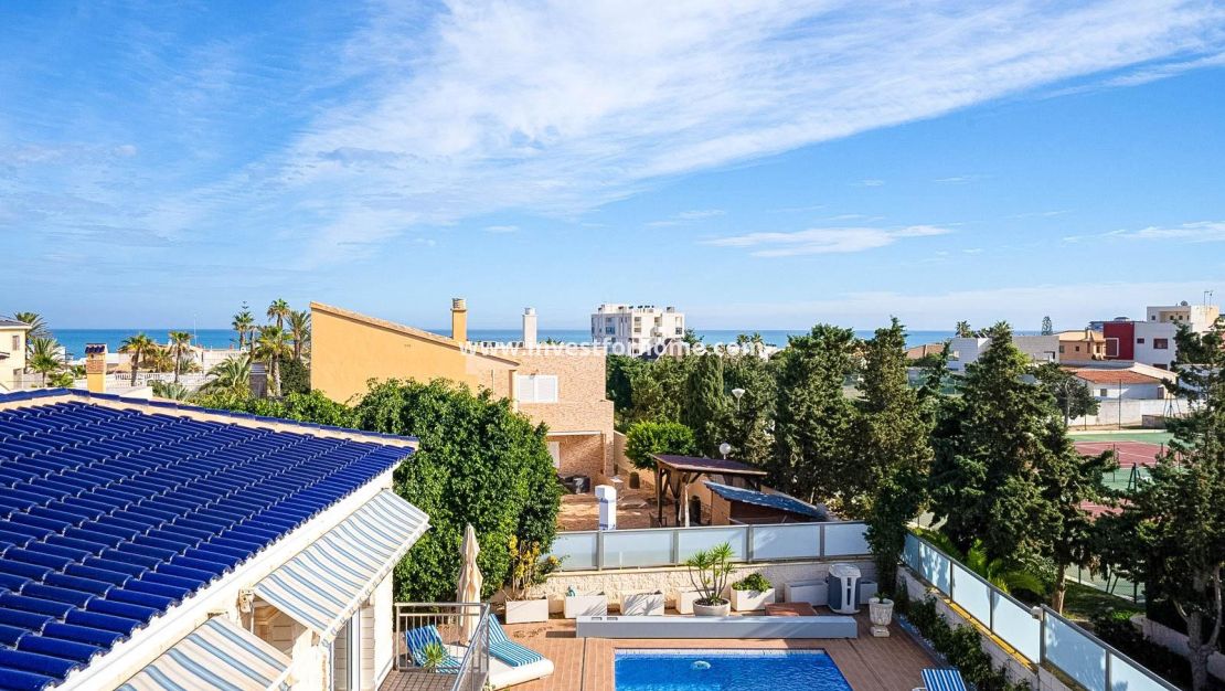 Vente - Villa - Torrevieja - Torrelamata - La Mata