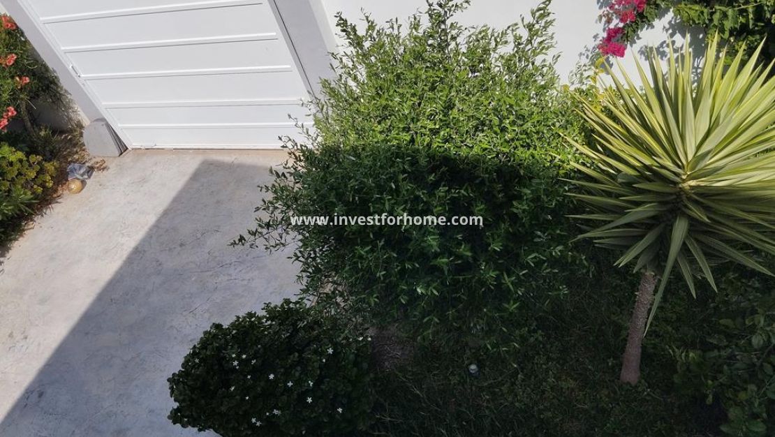 Vente - Villa - Torrevieja - Torreta Florida