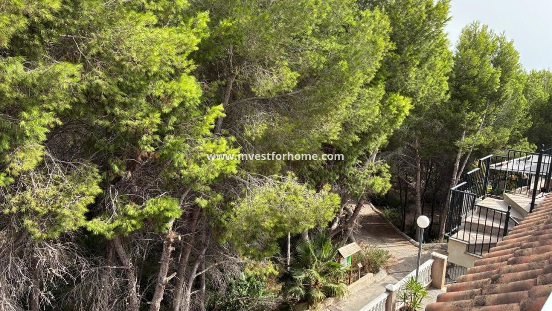 Verkoop - Appartement - Algorfa - Costa Blanca