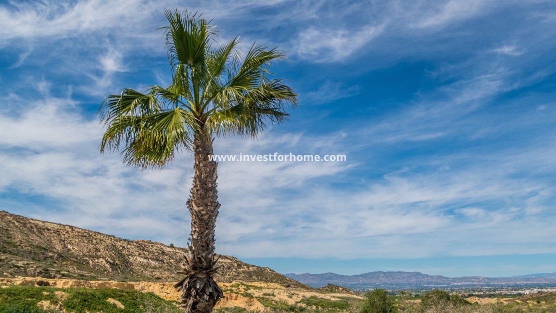 Verkoop - Appartement - Algorfa - Inland