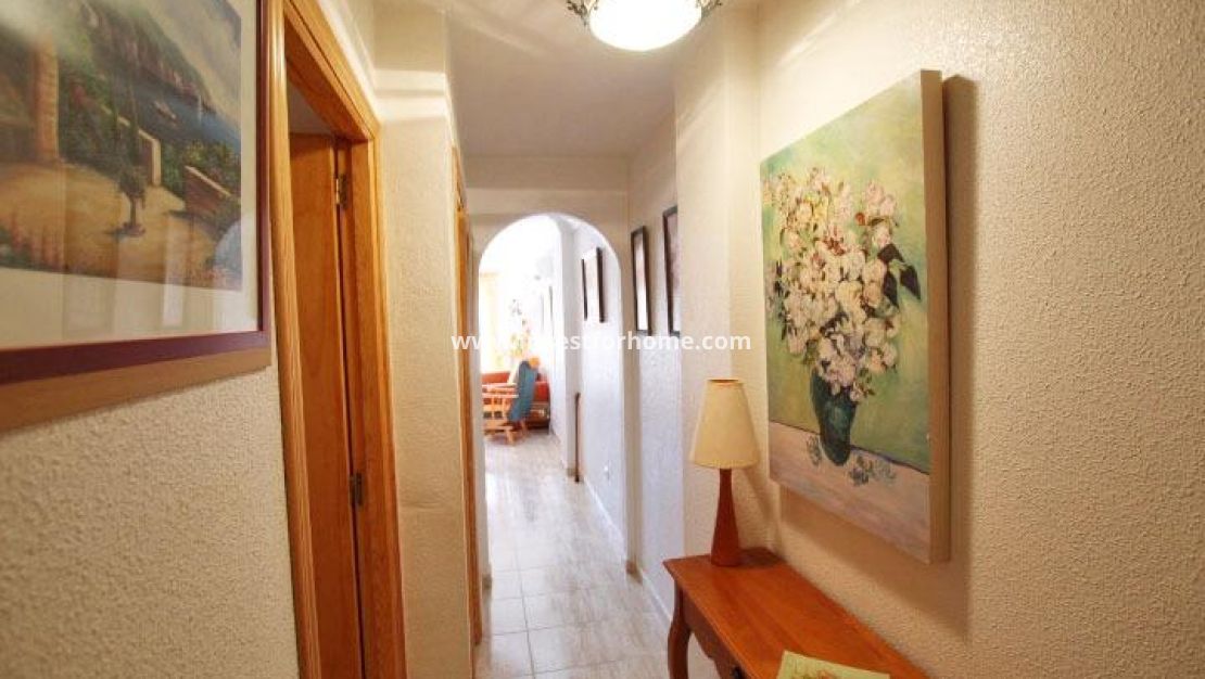 Verkoop - Appartement - Guardamar del Segura - Centro