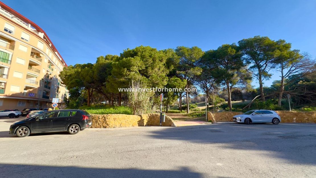 Verkoop - Appartement - Guardamar del Segura - Centro