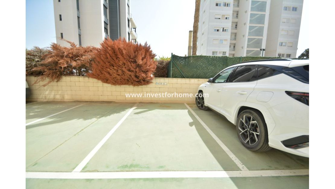 Verkoop - Appartement - Guardamar del Segura - Costa Blanca