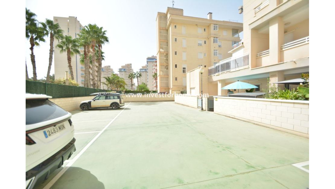 Verkoop - Appartement - Guardamar del Segura - Costa Blanca