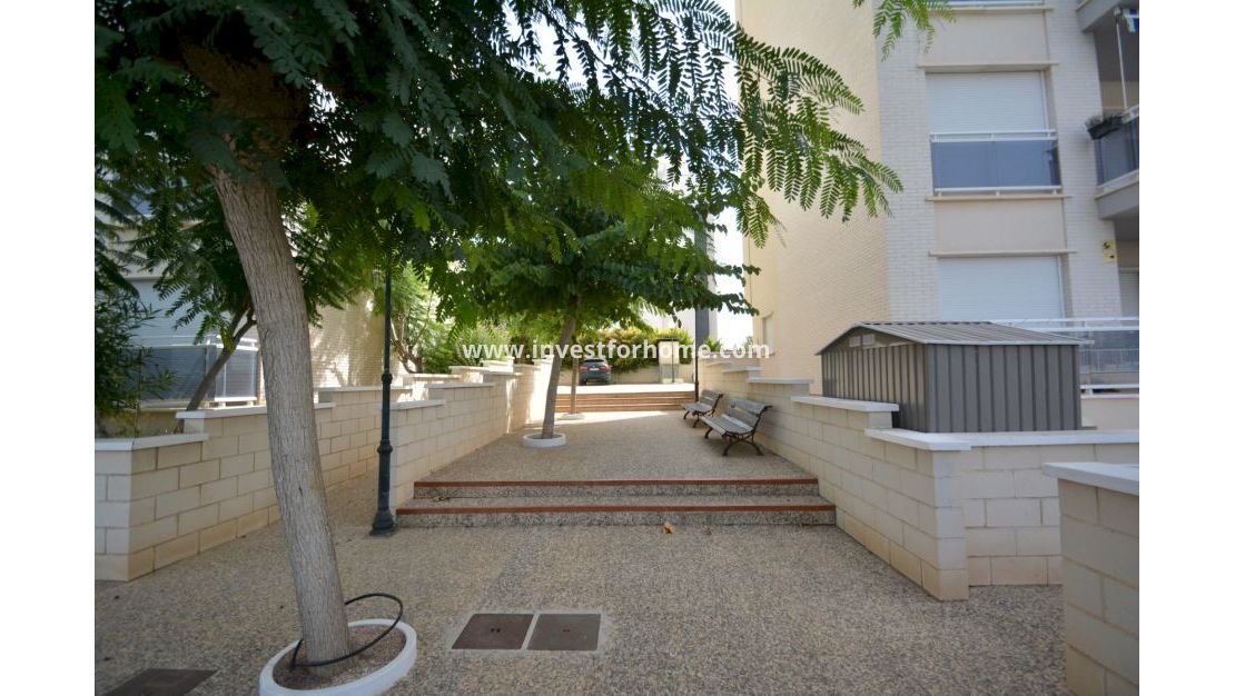 Verkoop - Appartement - Guardamar del Segura - Costa Blanca