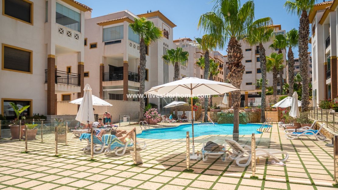 Verkoop - Appartement - Guardamar del Segura - Costa Blanca