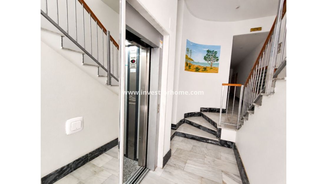 Verkoop - Appartement - Guardamar del Segura - Costa Blanca