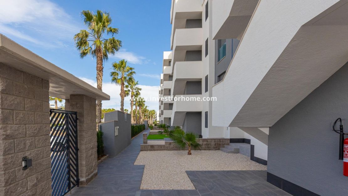 Verkoop - Appartement - Guardamar del Segura - El Raso