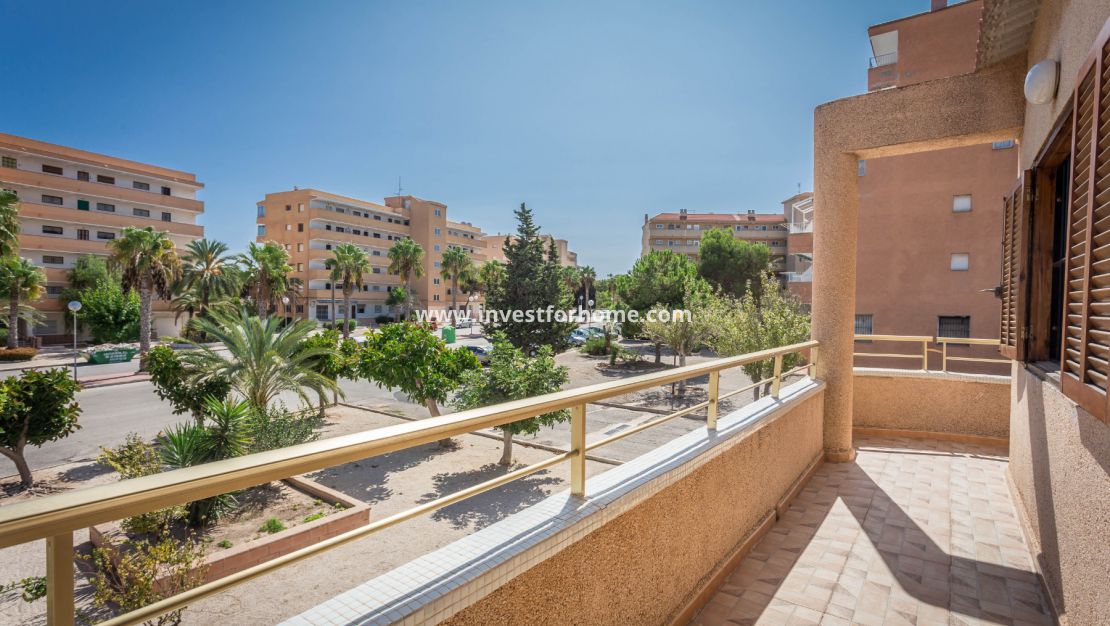 Verkoop - Appartement - Guardamar del Segura - Guardamar Playa