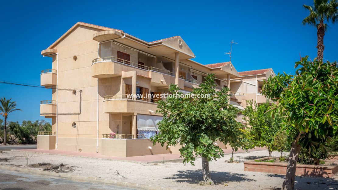 Verkoop - Appartement - Guardamar del Segura - Guardamar Playa
