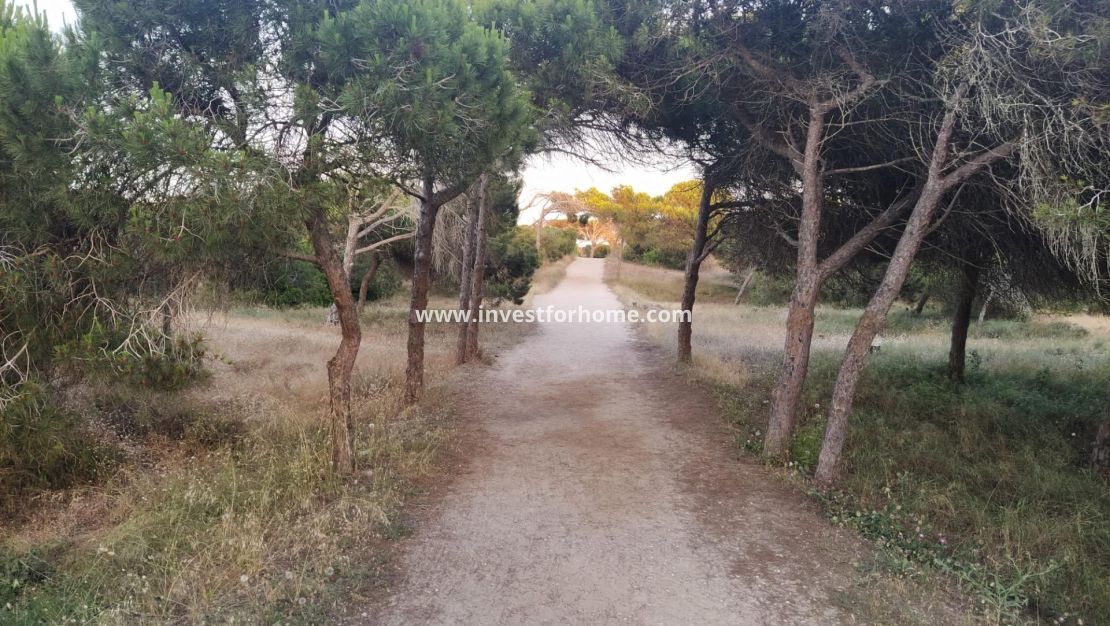 Verkoop - Appartement - Guardamar del Segura - Pinomar