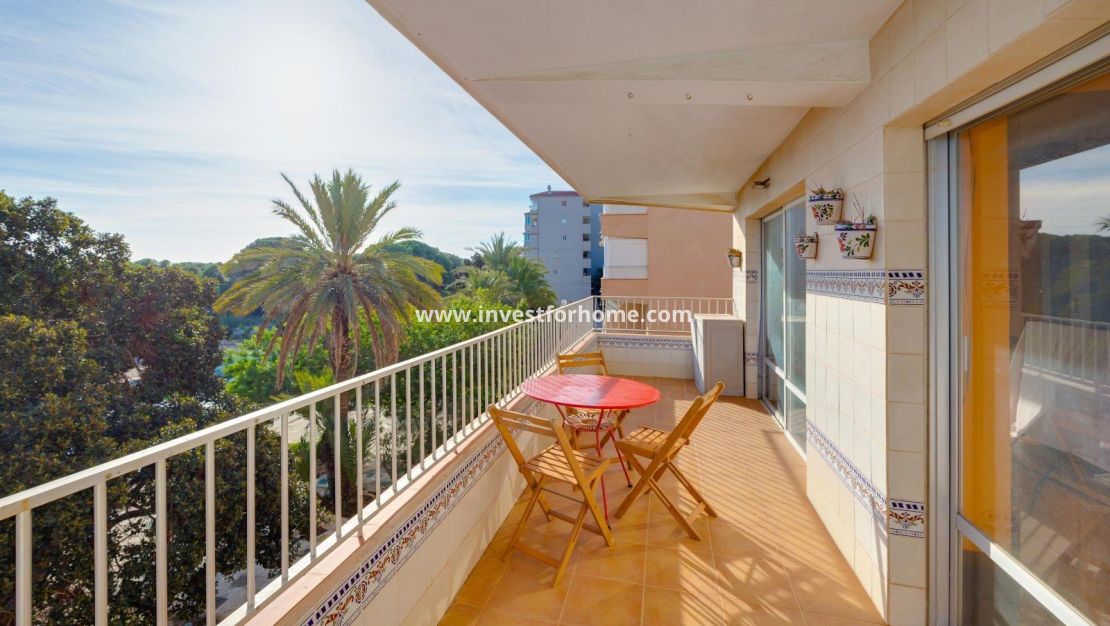 Verkoop - Appartement - Guardamar del Segura - Pinomar