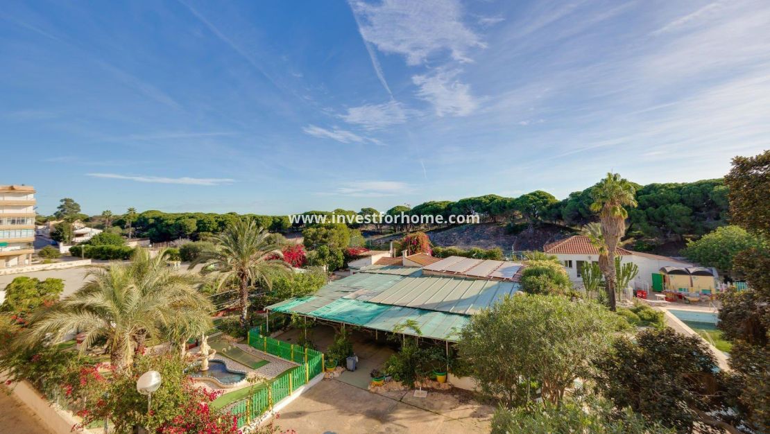 Verkoop - Appartement - Guardamar del Segura - Pinomar