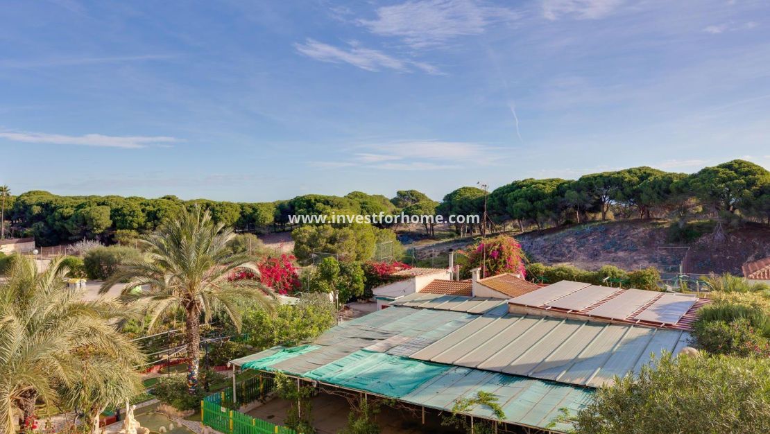 Verkoop - Appartement - Guardamar del Segura - Pinomar