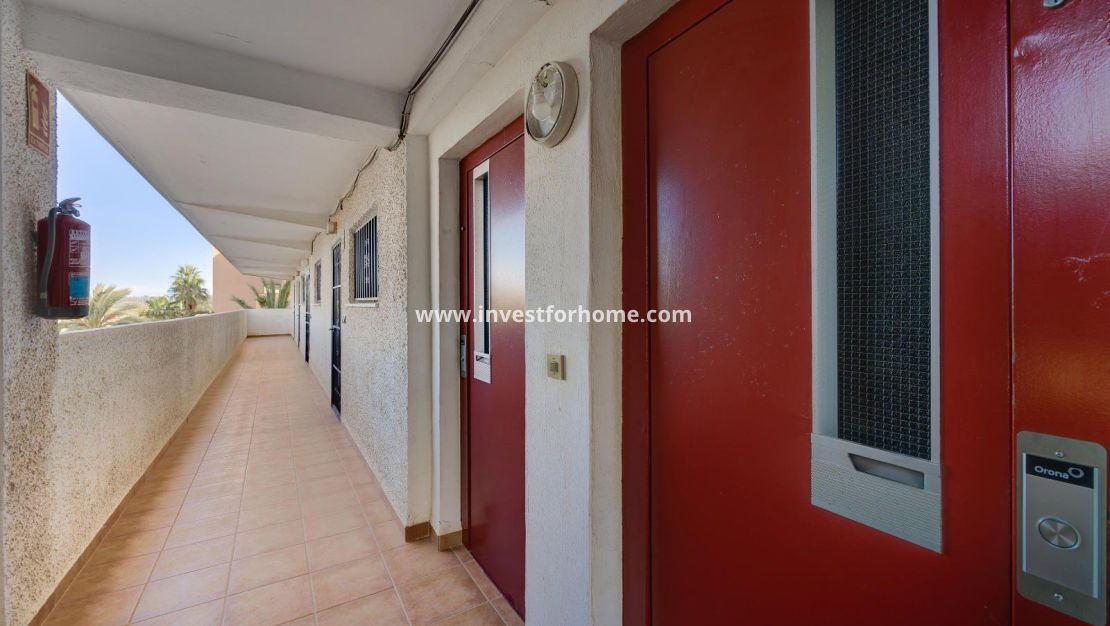 Verkoop - Appartement - Guardamar del Segura - Pinomar