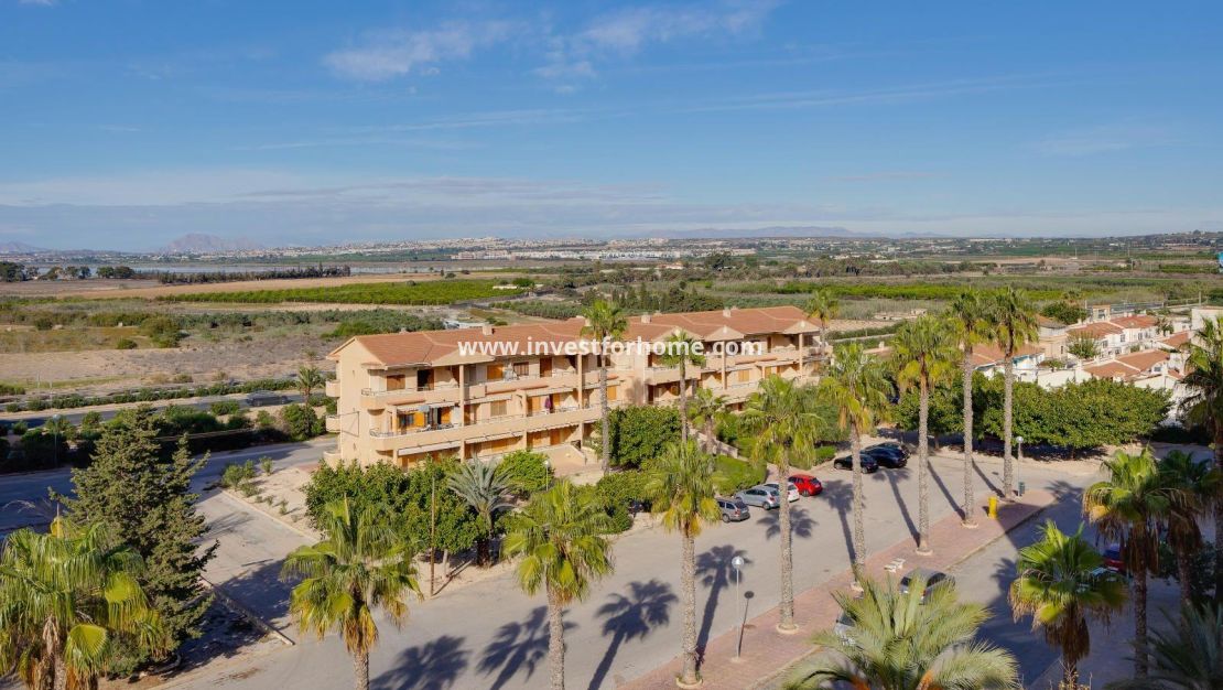 Verkoop - Appartement - Guardamar del Segura - Pinomar