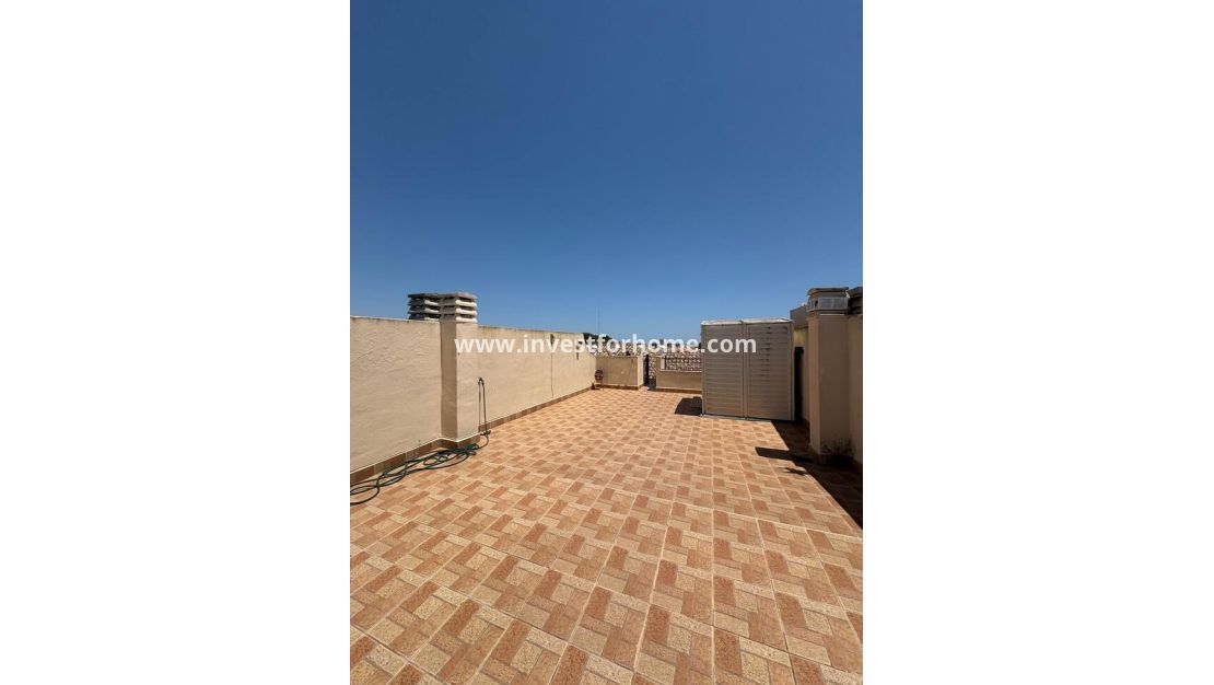 Verkoop - Appartement - Lo Pepin - Inland