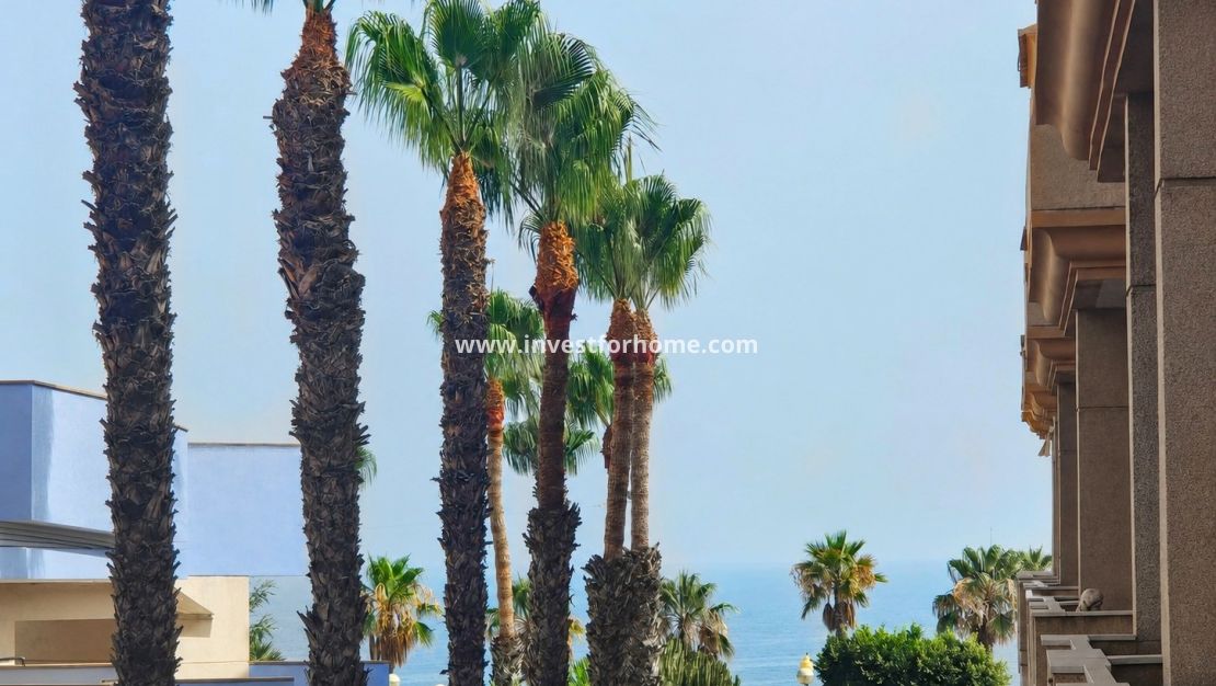 Verkoop - Appartement - Orihuela Costa - Agua Marina