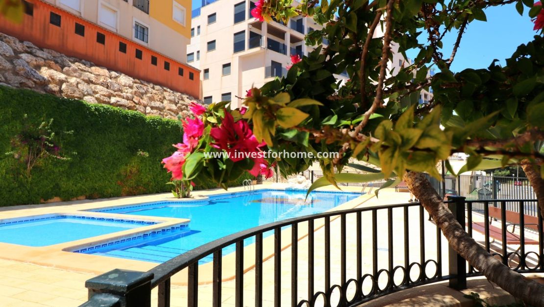 Verkoop - Appartement - Orihuela Costa - Campoamor