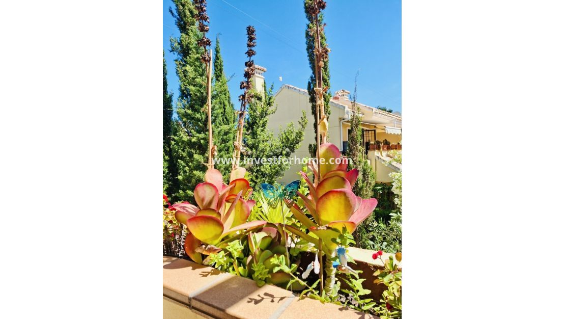 Verkoop - Appartement - Orihuela Costa - Costa Blanca