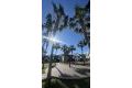 Verkoop - Appartement - Orihuela Costa - Costa Blanca