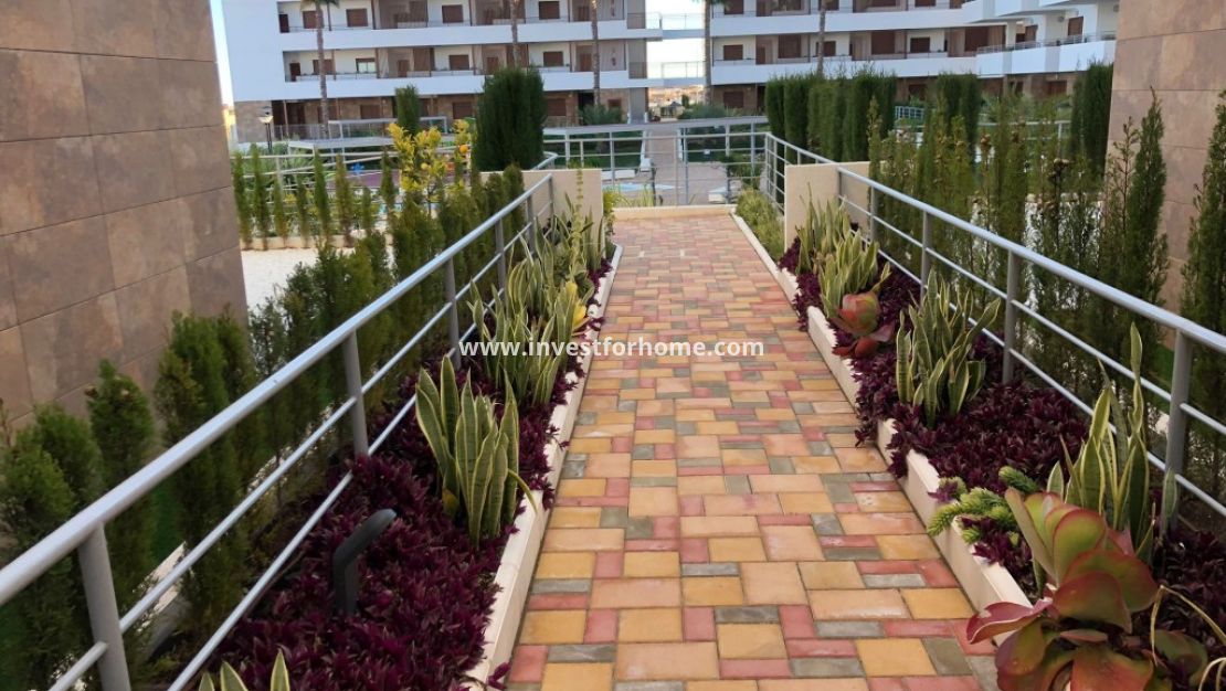 Verkoop - Appartement - Orihuela Costa - Costa Blanca