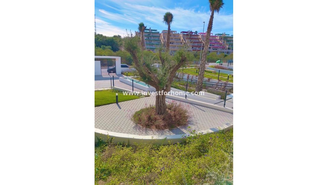 Verkoop - Appartement - Orihuela Costa - Inland