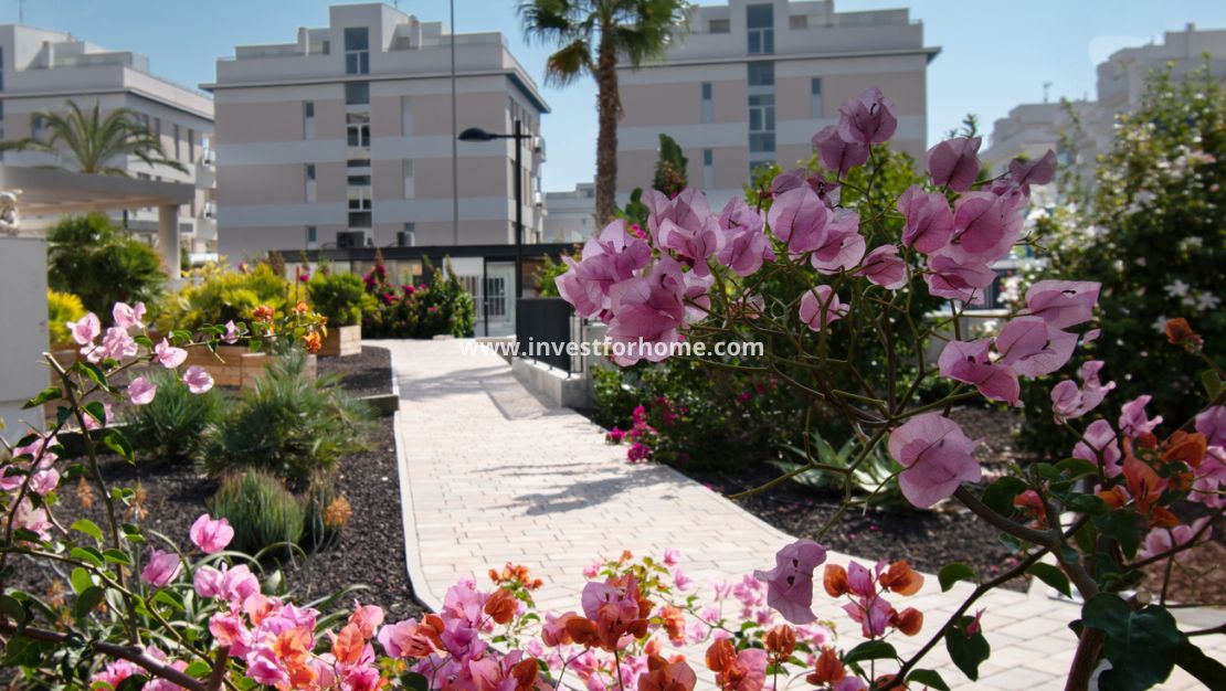 Verkoop - Appartement - Orihuela Costa - Los Dolses