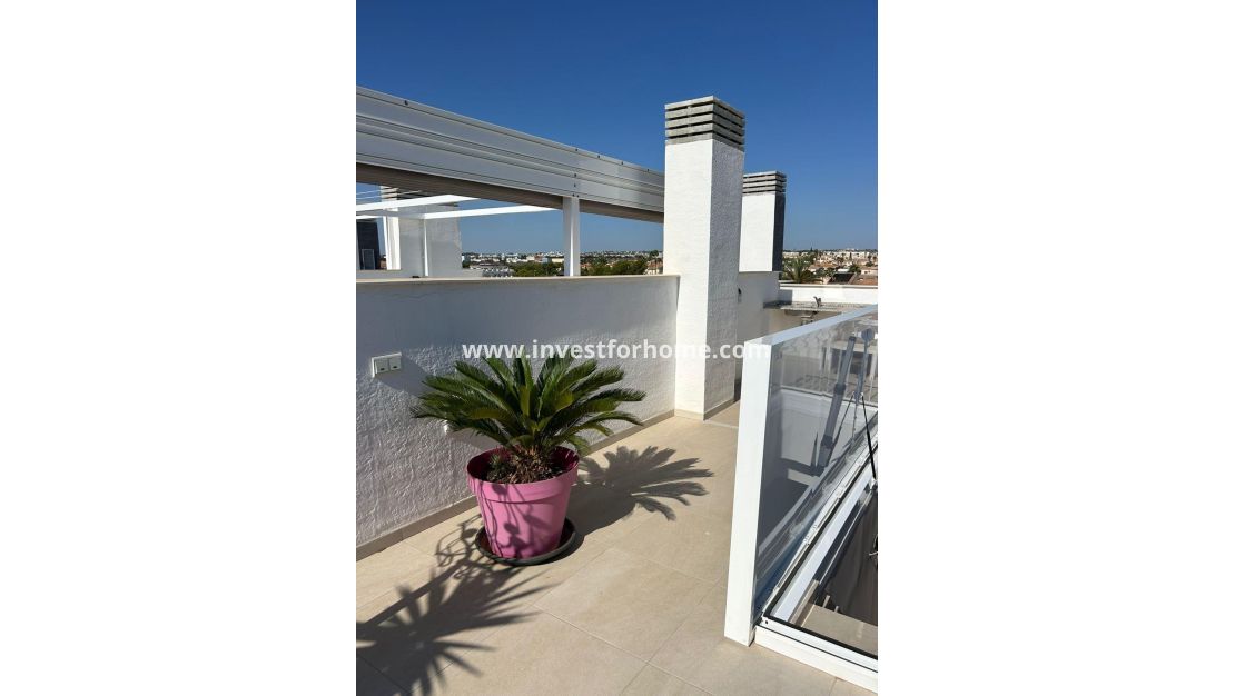 Verkoop - Appartement - Orihuela Costa - Playa Flamenca