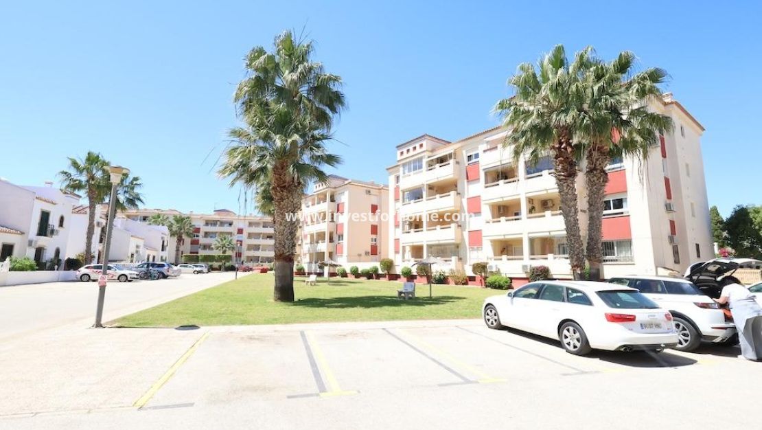 Verkoop - Appartement - Orihuela Costa - Playa Flamenca