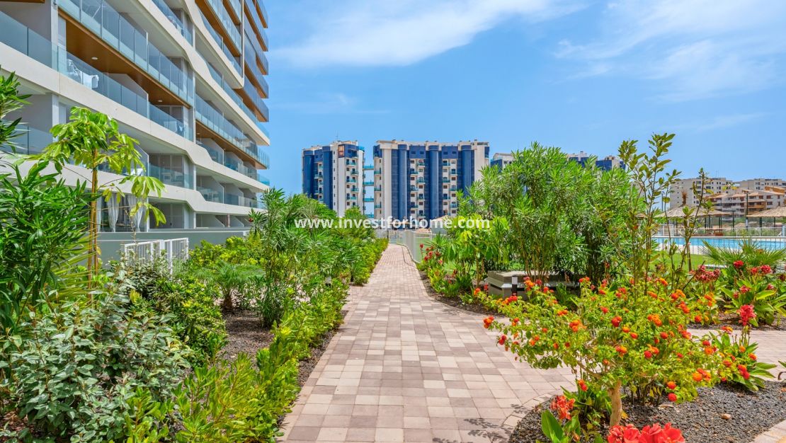Verkoop - Appartement - Orihuela Costa - Punta Prima