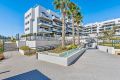 Verkoop - Appartement - Orihuela Costa - Villamartín