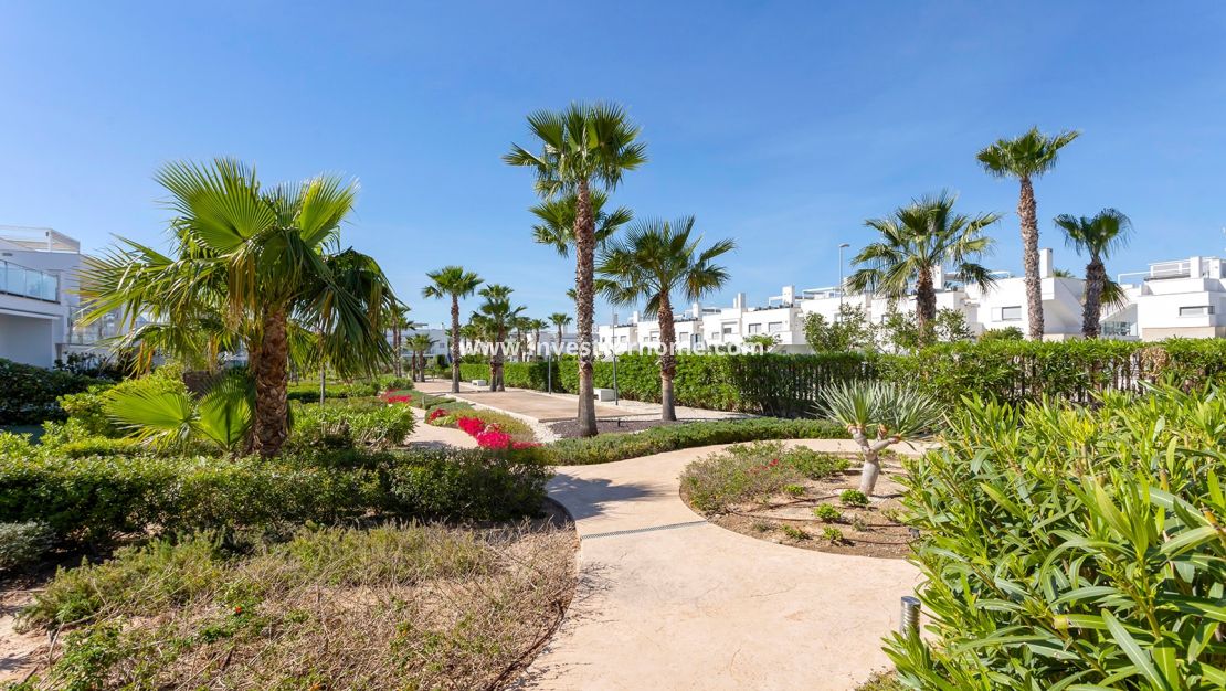 Verkoop - Appartement - Orihuela Costa - Vistabella Golf