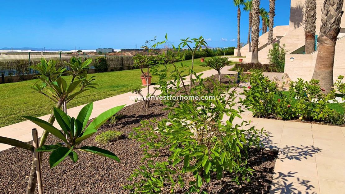 Verkoop - Appartement - Pilar de la Horadada - Costa Blanca