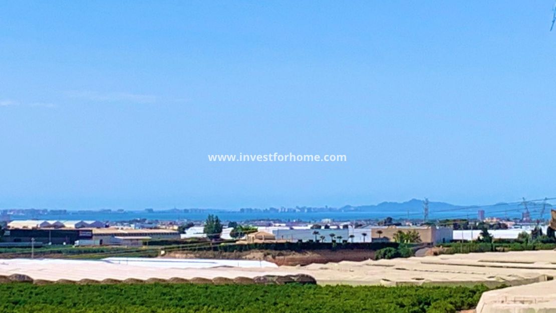 Verkoop - Appartement - Pilar de la Horadada - Costa Blanca