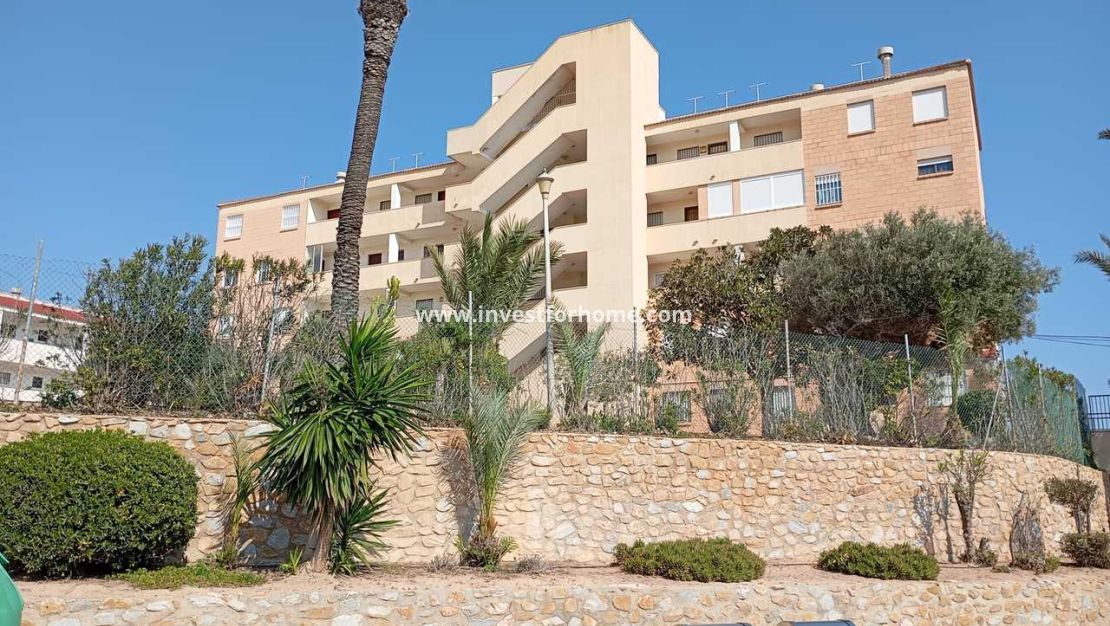 Verkoop - Appartement - Pilar de la Horadada - Costa Blanca