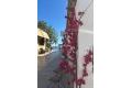 Verkoop - Appartement - Pilar de la Horadada - Pueblo Latino