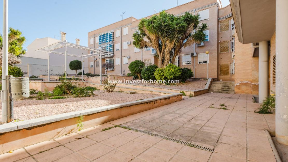 Verkoop - Appartement - San Miguel de Salinas