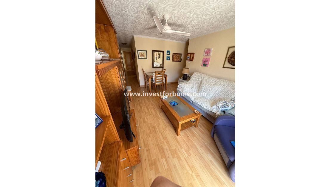 Verkoop - Appartement - San Pedro del Pinatar - Villananitos