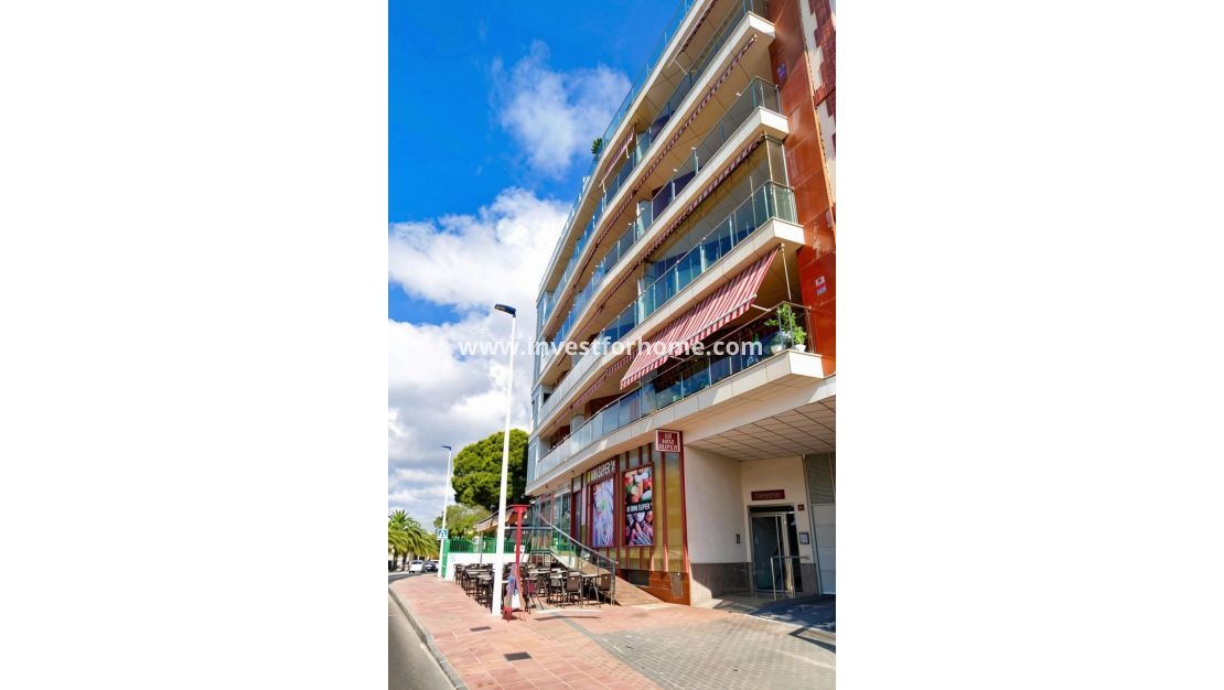 Verkoop - Appartement - San Pedro del Pinatar - Villananitos