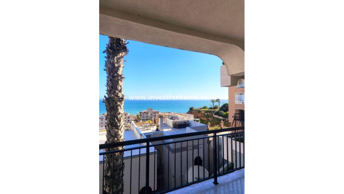 Verkoop - Appartement - Torrevieja - Cabo Cervera