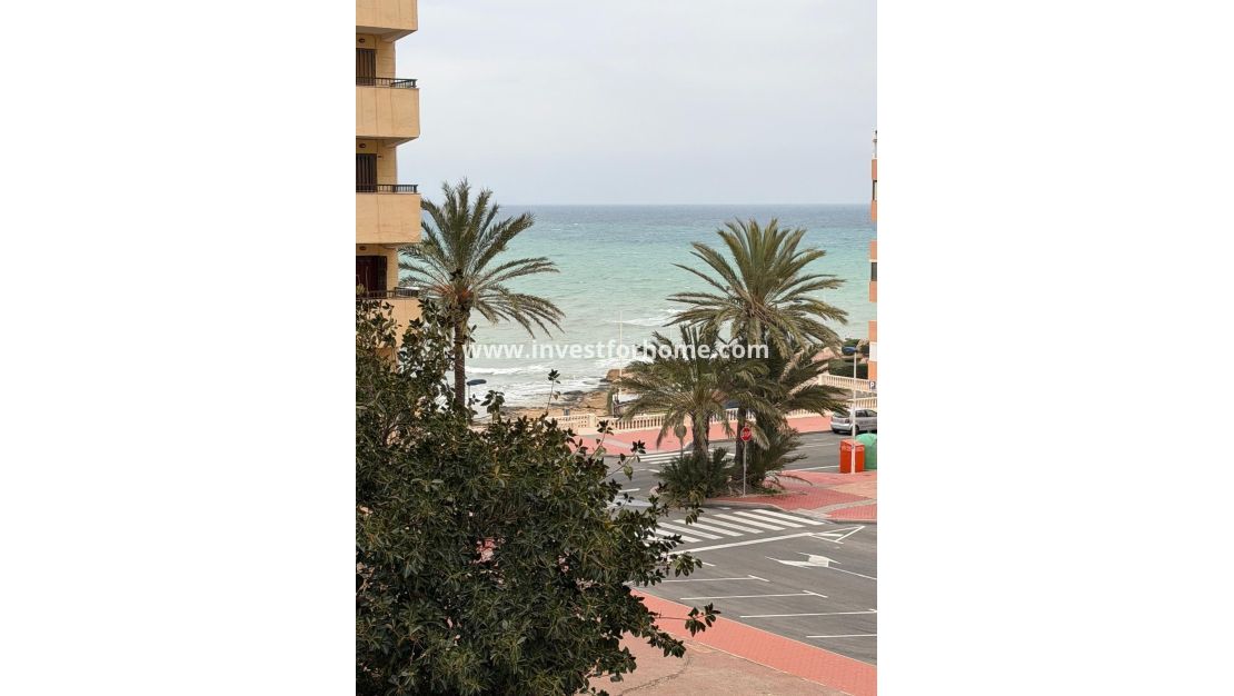 Verkoop - Appartement - Torrevieja - Cabo Cervera