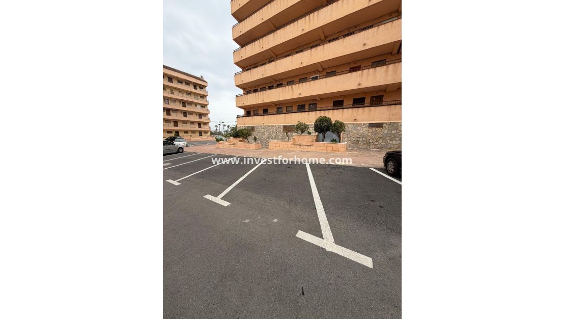 Verkoop - Appartement - Torrevieja - Cabo Cervera