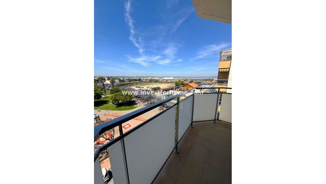Verkoop - Appartement - Torrevieja - Centro - Muelle Pesquero
