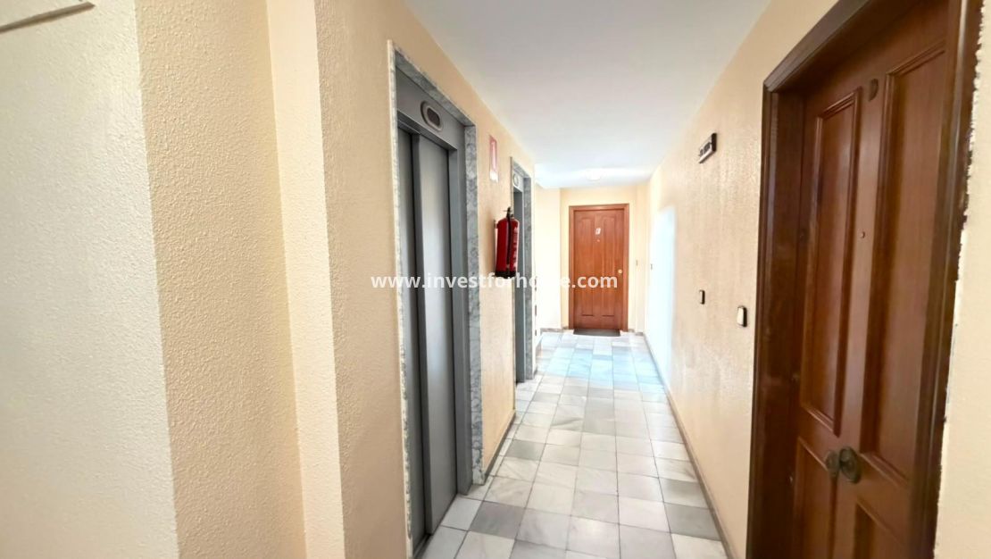 Verkoop - Appartement - Torrevieja - Centro - Muelle Pesquero