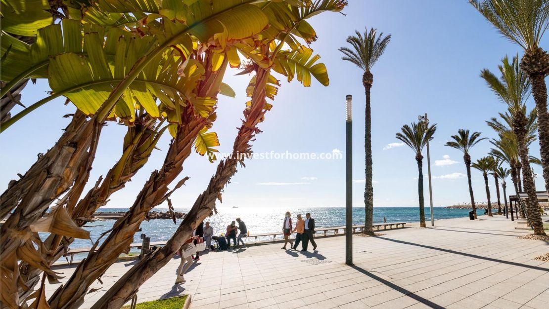 Verkoop - Appartement - Torrevieja - Centro